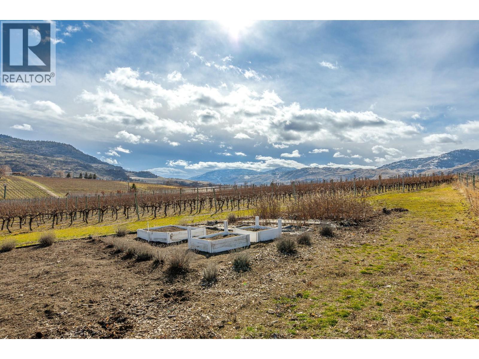 445 Road 5, Oliver, BC - Outdoor With View