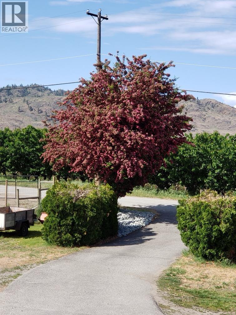 445 Road 5, Oliver, BC - Outdoor With View