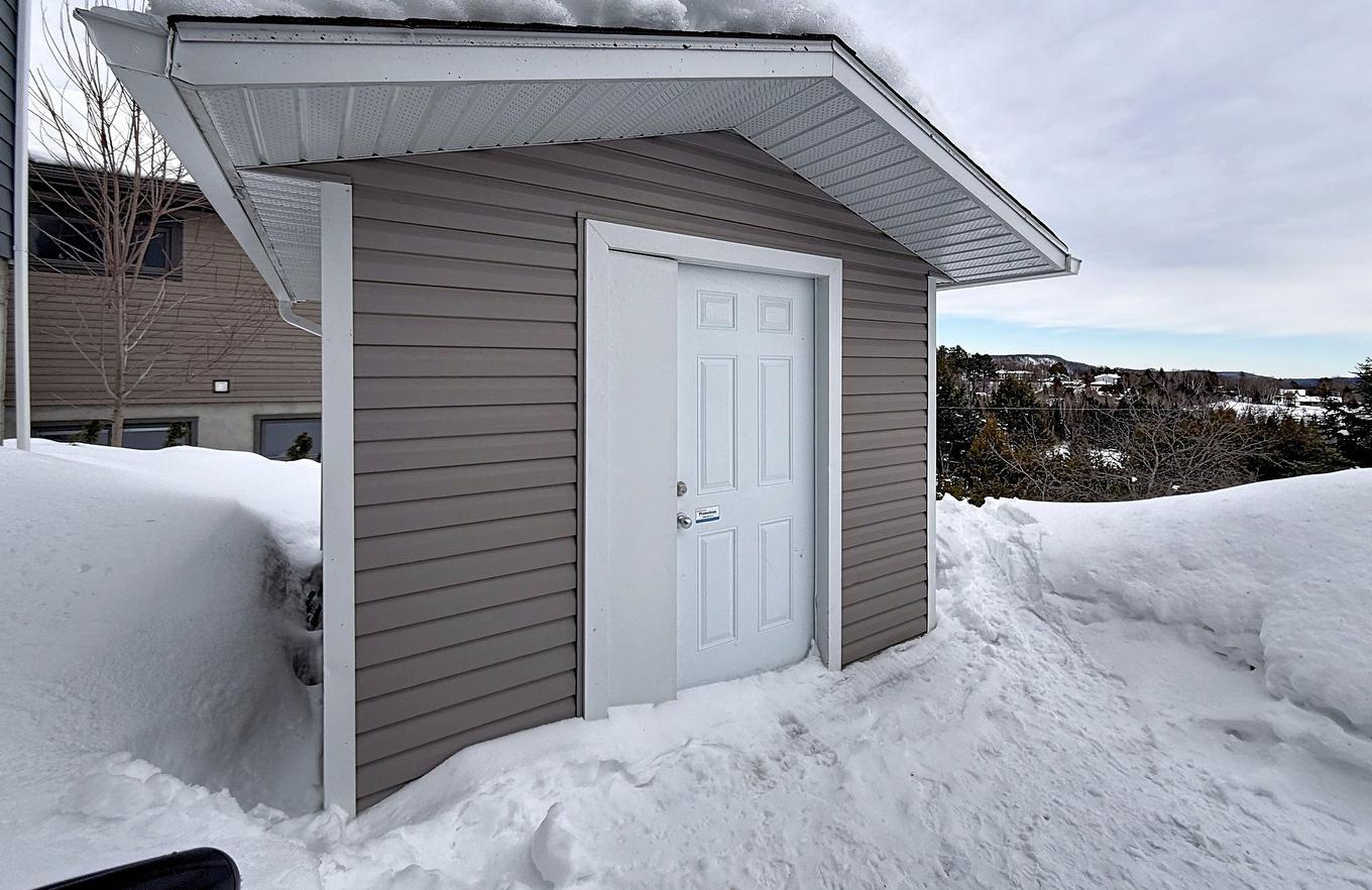 Remise - 71 Rue Henri-Dunant, Sainte-Agathe-Des-Monts, QC - Outdoor With Exterior