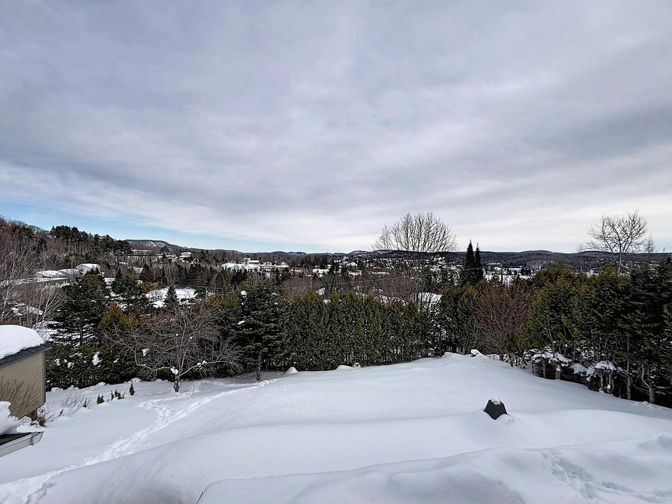 Vue - 71 Rue Henri-Dunant, Sainte-Agathe-Des-Monts, QC - Outdoor With View