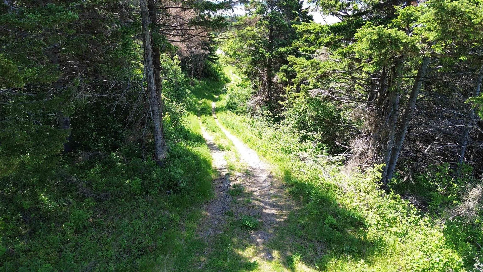 3166 Highway 19, Craigmore, NS