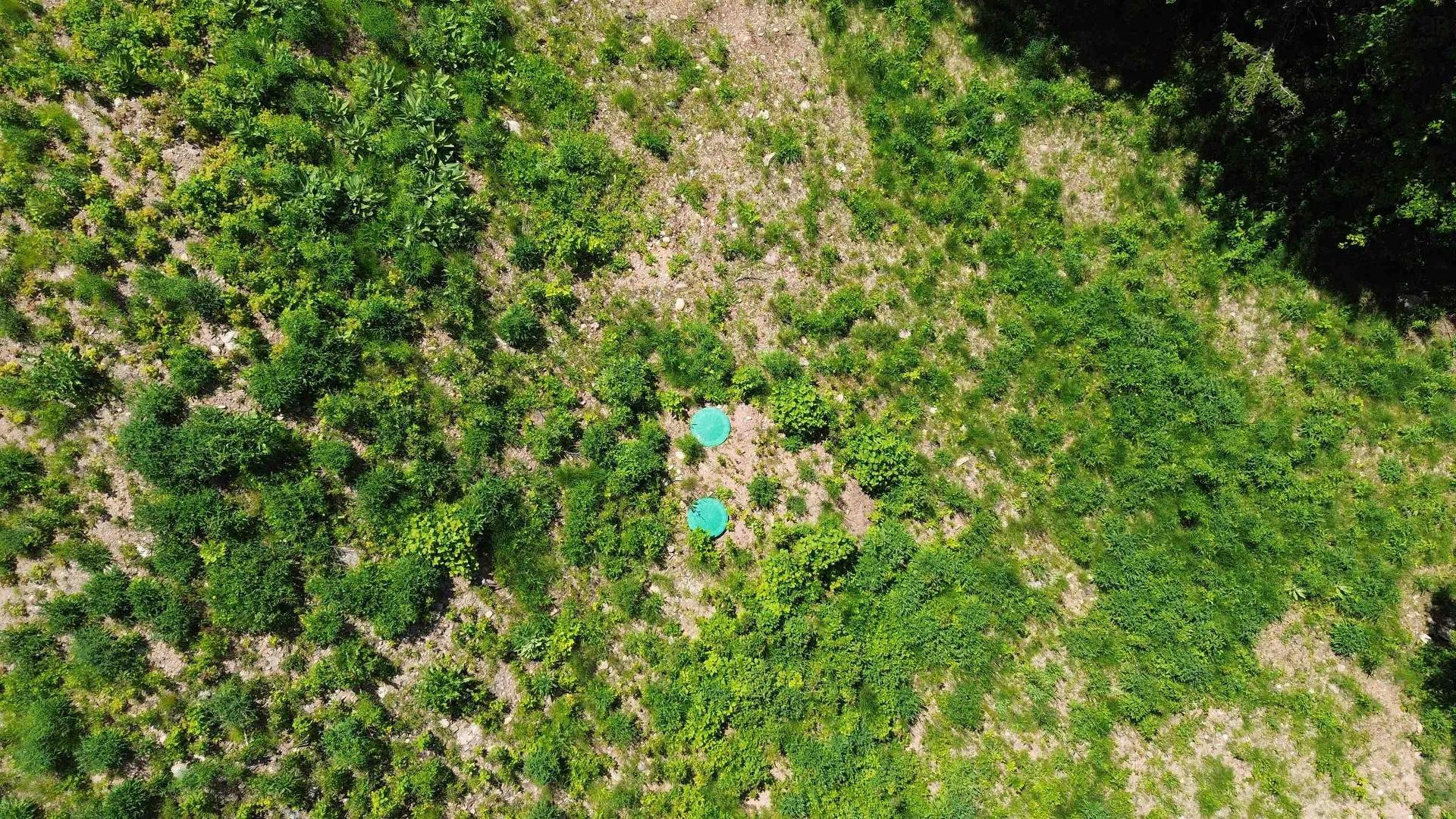 3166 Highway 19, Craigmore, NS