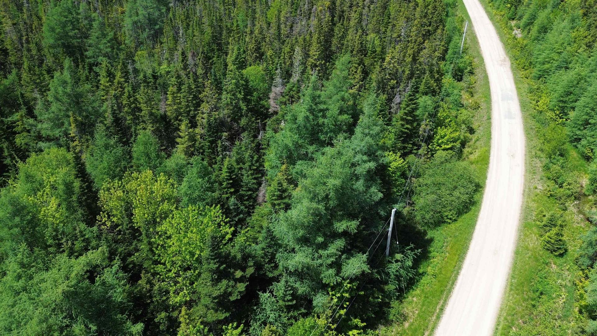 21 Doris Lane, Kempt Road, NS