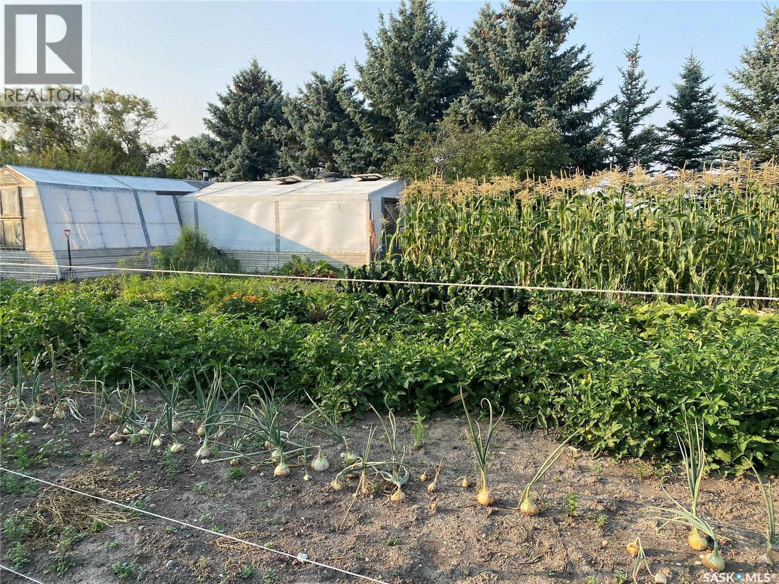 . Railway Avenue, Gladmar, SK - Outdoor