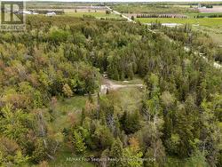 348305 4TH CONCESSION B Grey Highlands, ON N0C 1H0