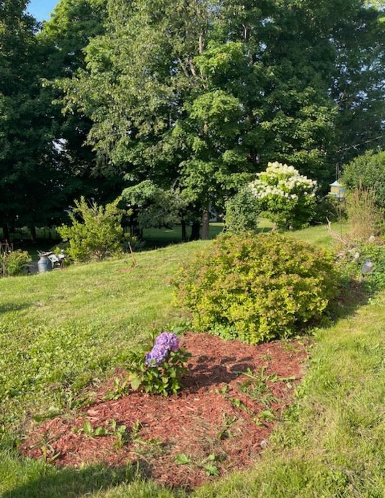 380 Truro Heights Road, Truro Heights, NS