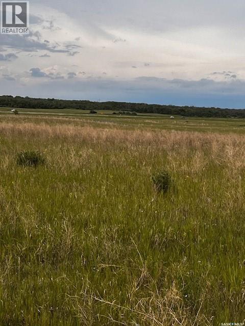 Starling Highway 11 East, Dundurn Rm No. 314, SK