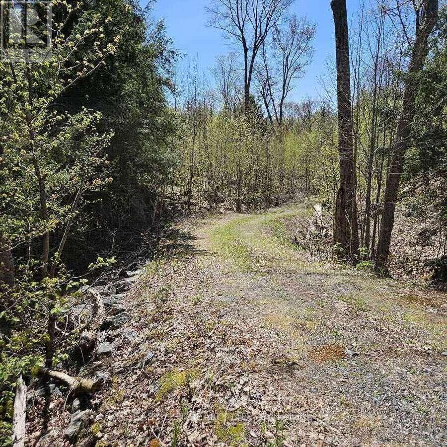 26 Fox Farm Road, Mckellar, ON