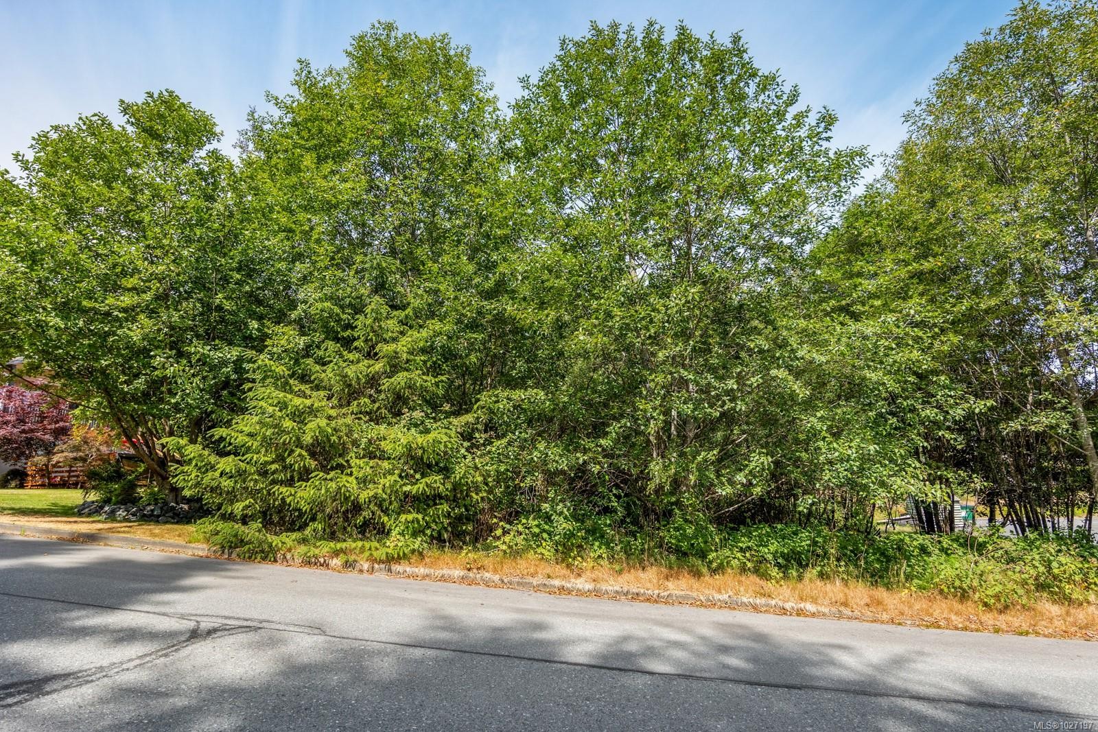 581 Macmillan Dr, Sayward, BC