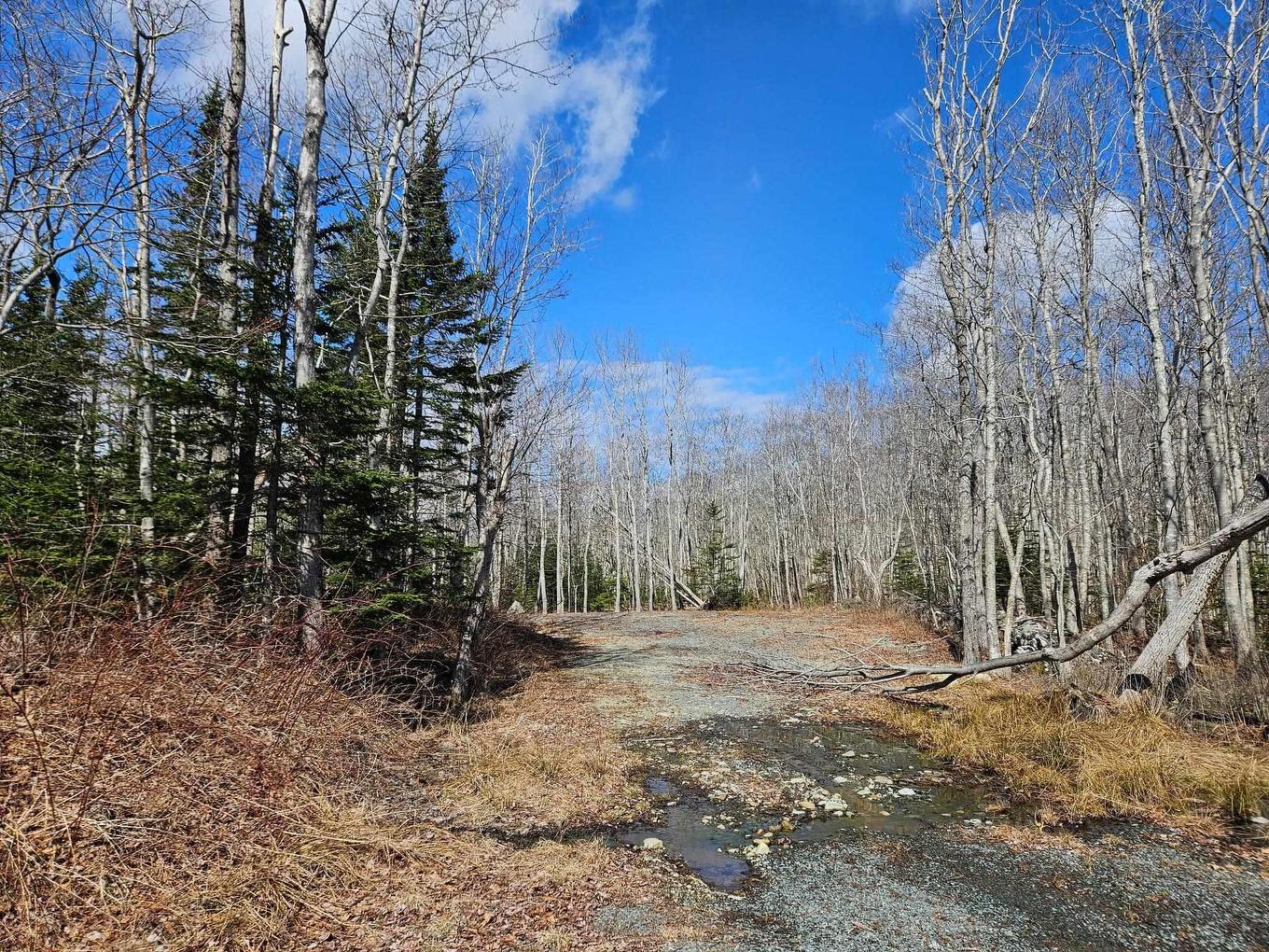 Lot Highway 3, White Point, NS