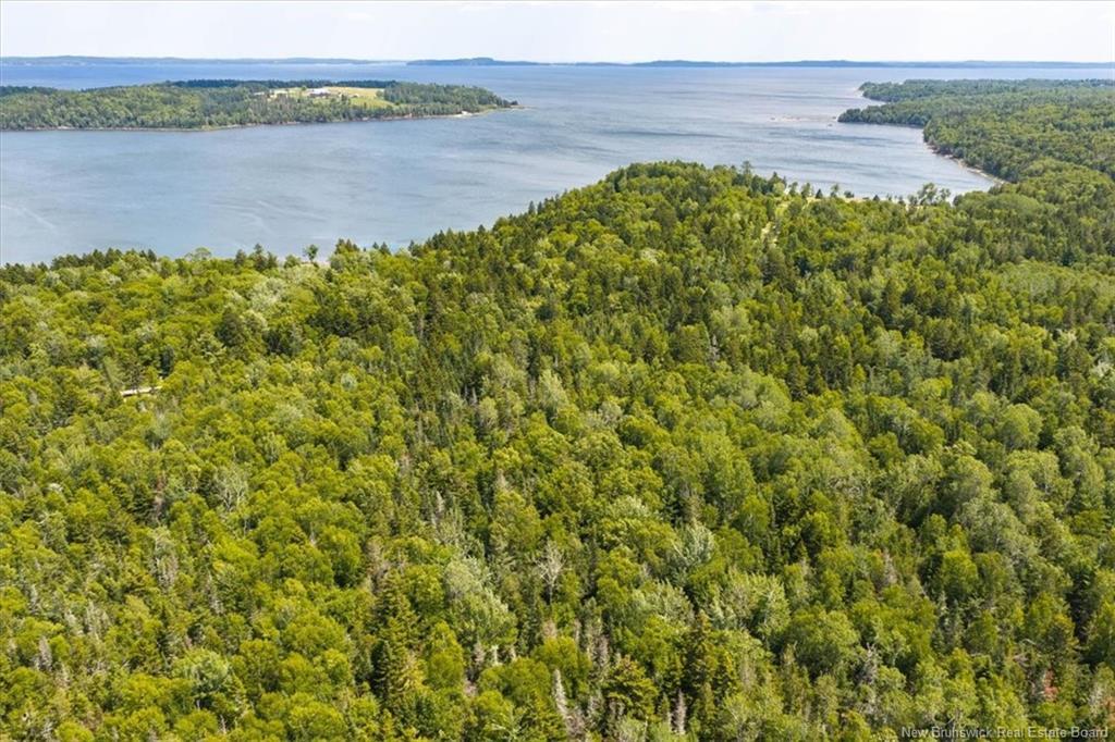 01 Bayview Blvd, Chamcook, NB - Outdoor With Body Of Water With View