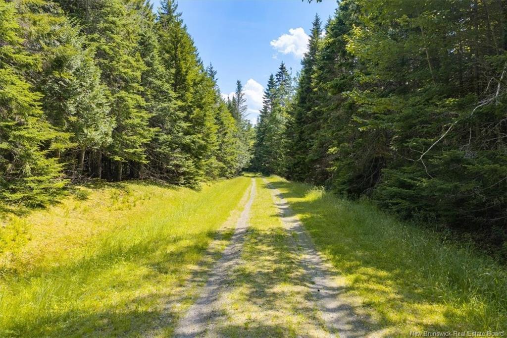 01 Bayview Blvd, Chamcook, NB - Outdoor With View