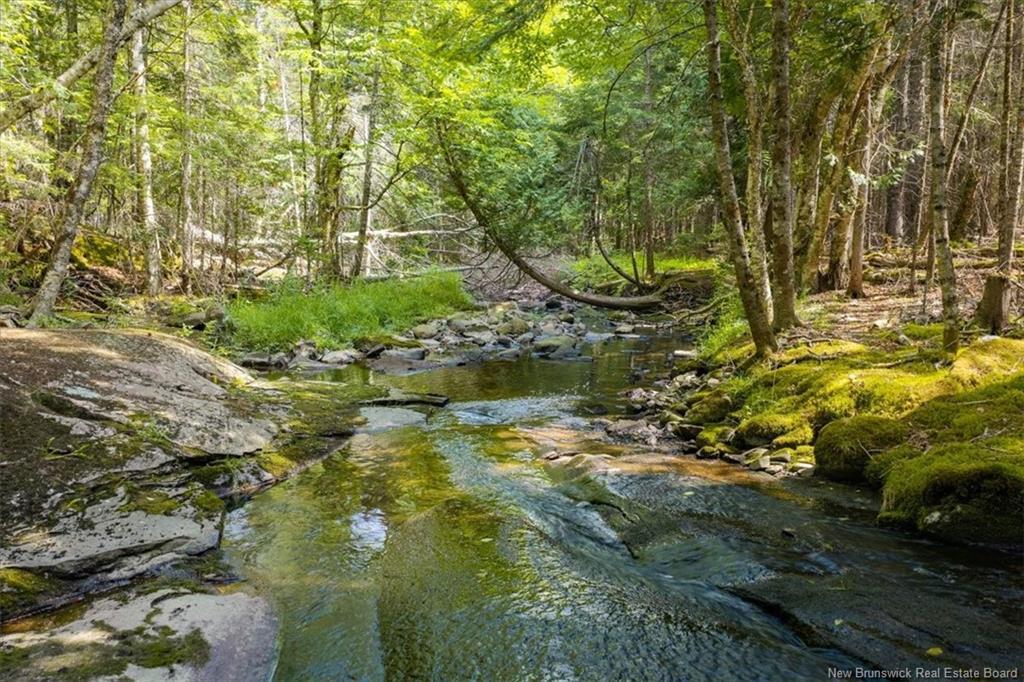01 Bayview Blvd, Chamcook, NB - Outdoor With View