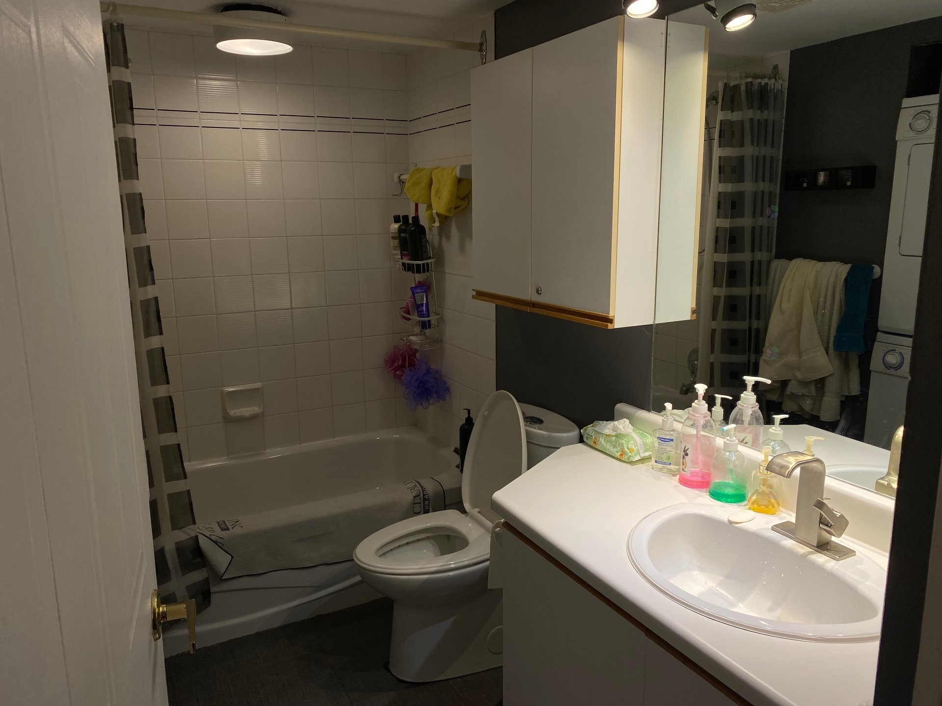 Bathroom - 821 Ch. Des Éperviers, Piedmont, QC - Indoor Photo Showing Bathroom