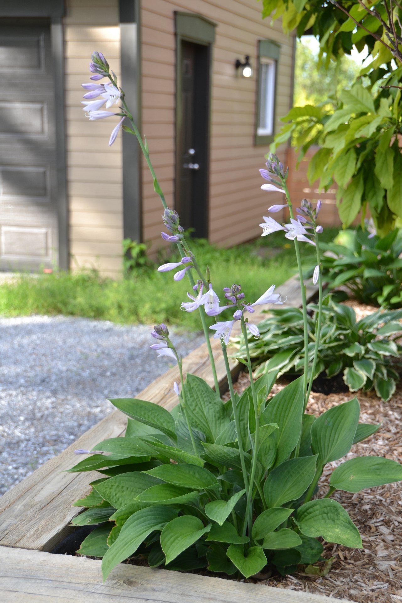 Autre - 29 Rue Du Couvent, Saint-Simon, QC - Outdoor