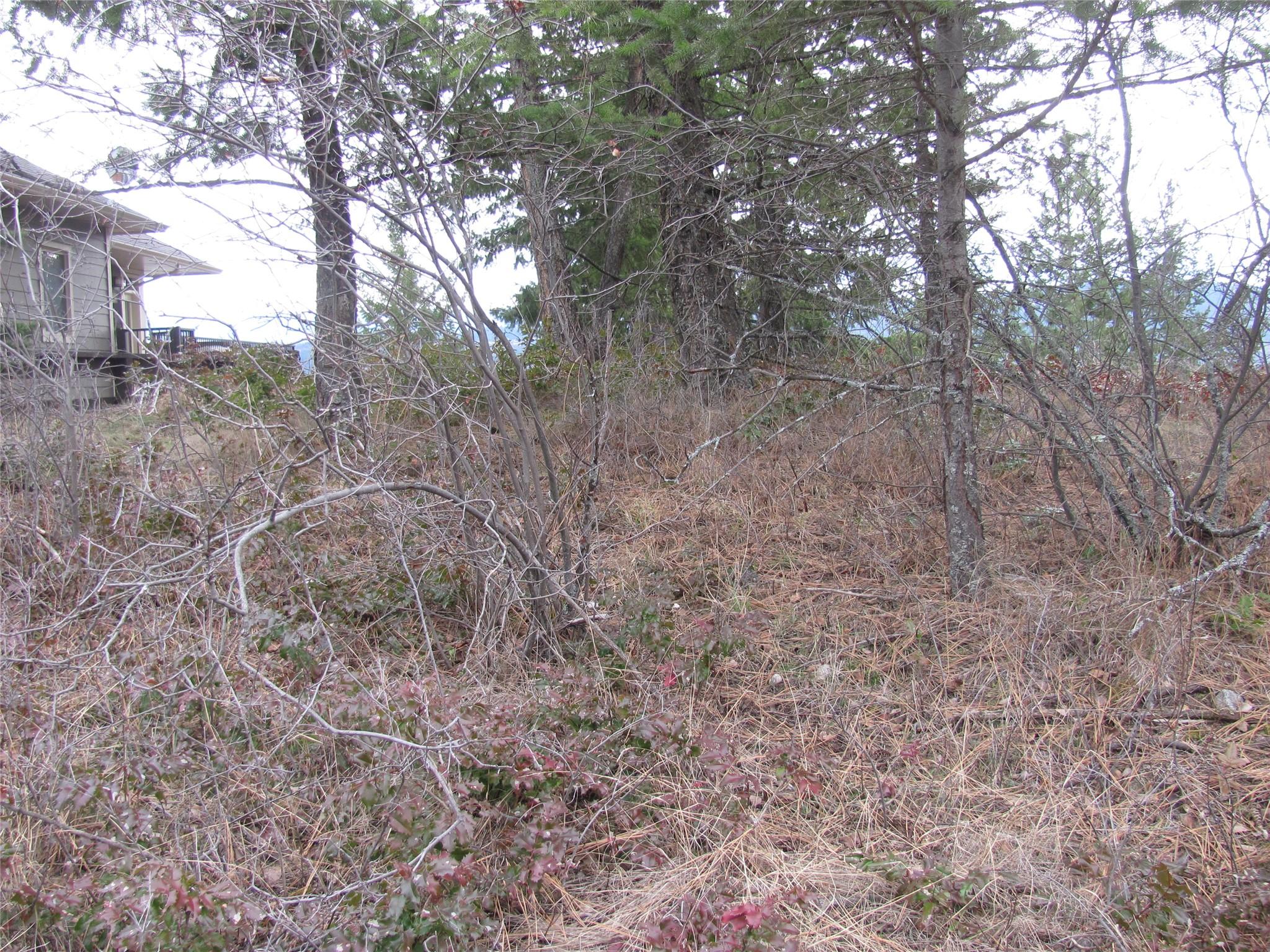Crown Crescent, Vernon, BC - Outdoor With View