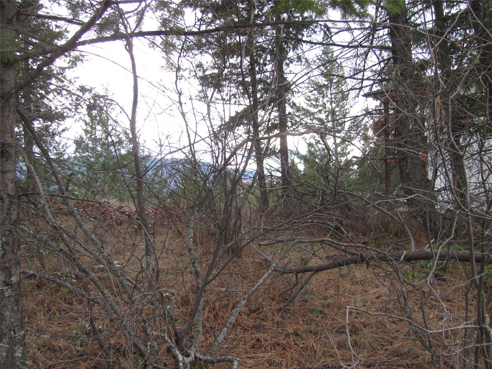 Crown Crescent, Vernon, BC - Outdoor With View