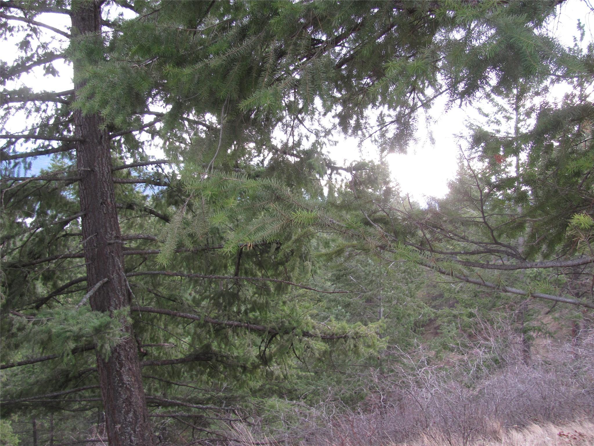 Crown Crescent, Vernon, BC - Outdoor With View