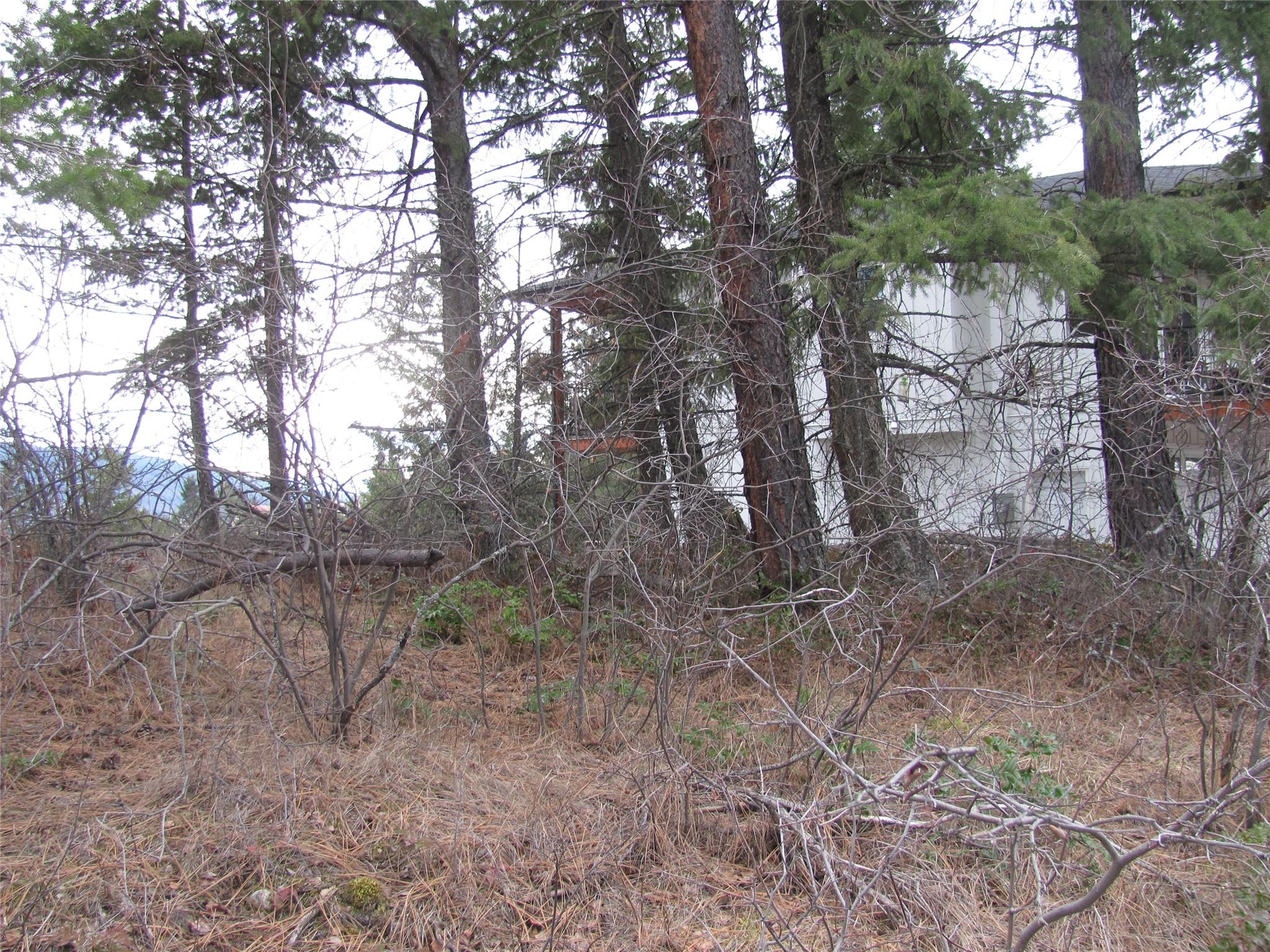 Crown Crescent, Vernon, BC - Outdoor With View