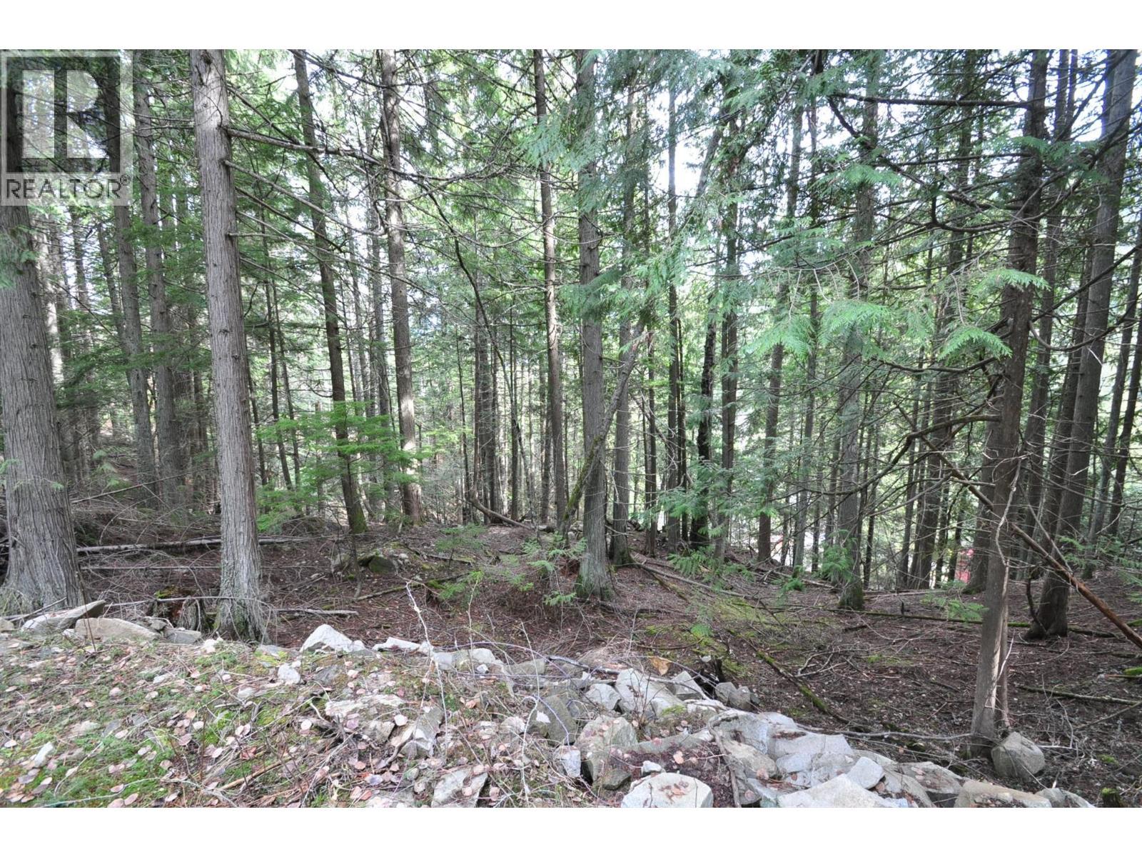 2835 Silver King Road, Nelson, BC