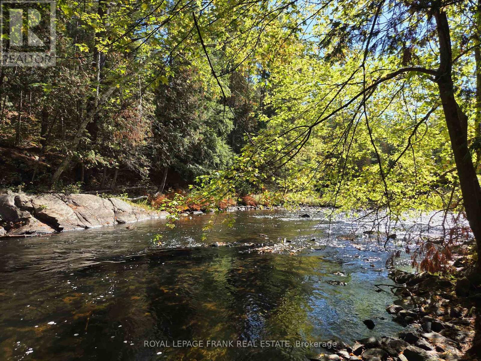 8847 Highway 28, North Kawartha, ON - Outdoor With Body Of Water With View