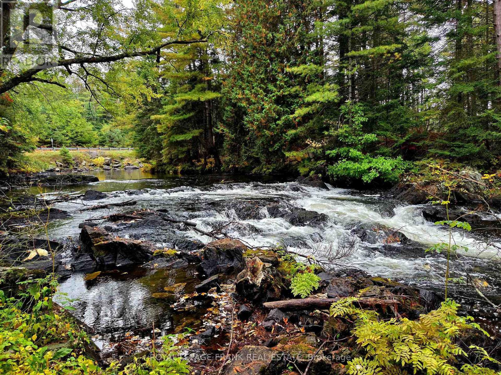 8847 Highway 28, North Kawartha, ON - Outdoor