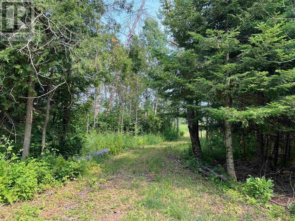 Lot 2 & 3 Con Nelson Dr, St. Joseph Island, ON