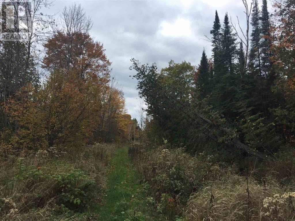 Lot 2 & 3 Con Nelson Dr, St. Joseph Island, ON