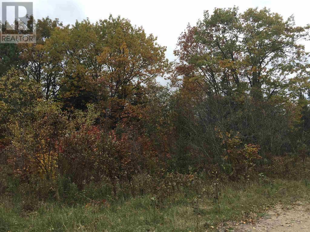 Lot 2 & 3 Con Nelson Dr, St. Joseph Island, ON