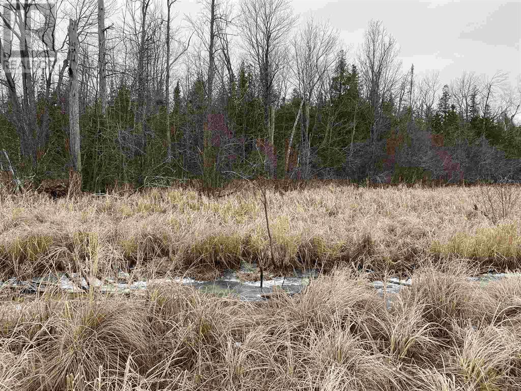 Lot 2 & 3 Con Nelson Dr, St. Joseph Island, ON