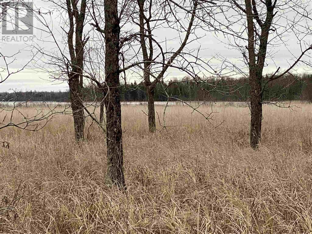 Lot 2 & 3 Con Nelson Dr, St. Joseph Island, ON