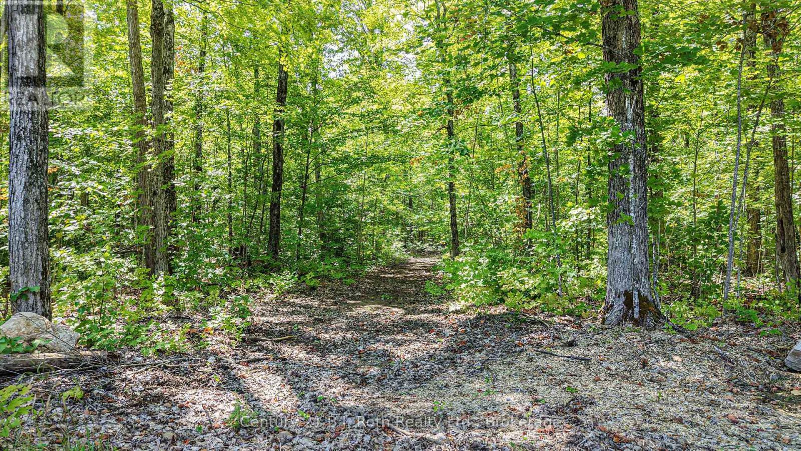 Trails throughout property - 3082 Fairgrounds Road, Severn, ON - Outdoor