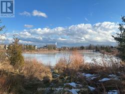 Steps to natures paradise. -