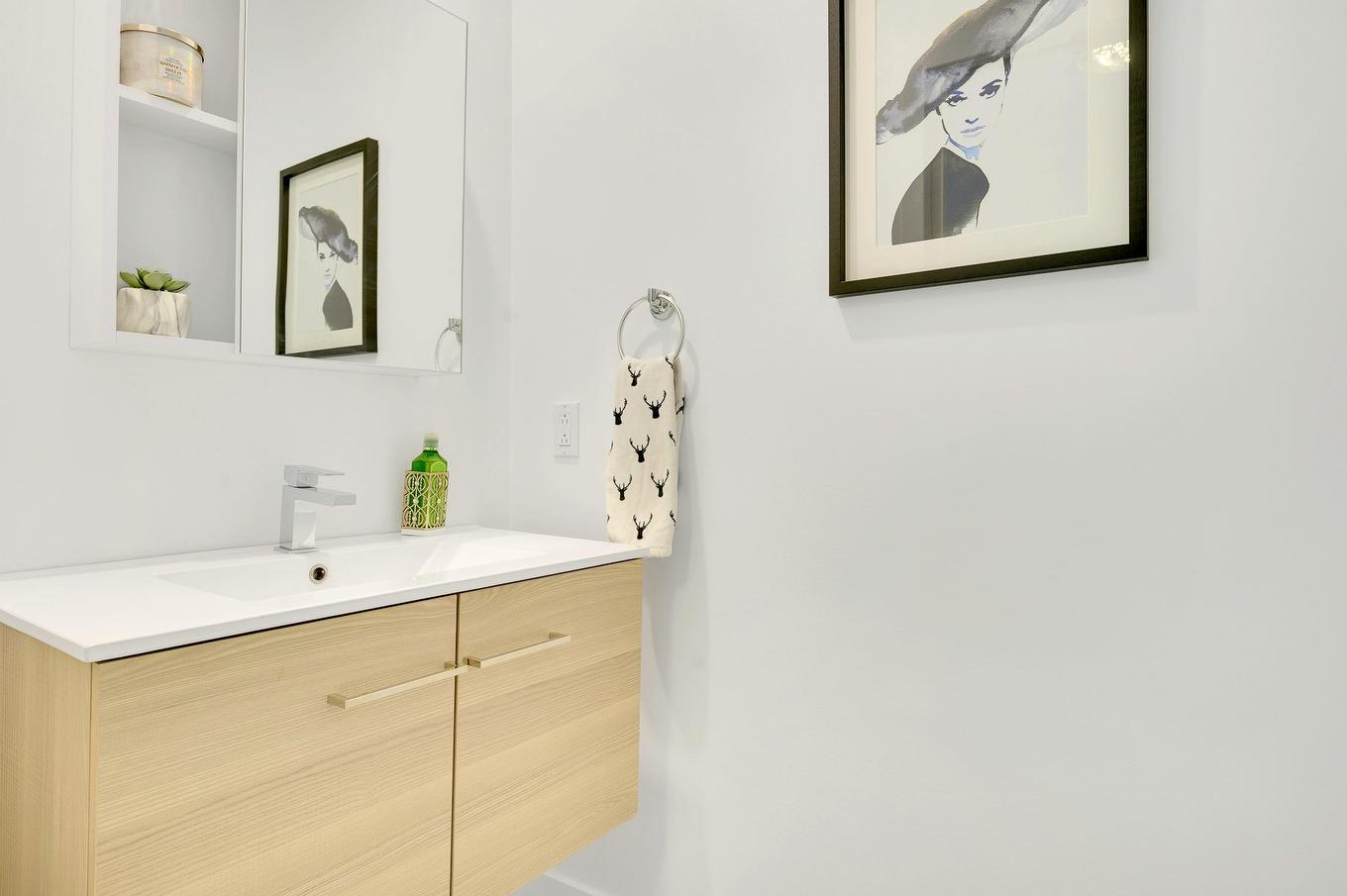 Powder room - 250 Rue D'Orion, Saint-Hippolyte, QC - Indoor Photo Showing Bathroom