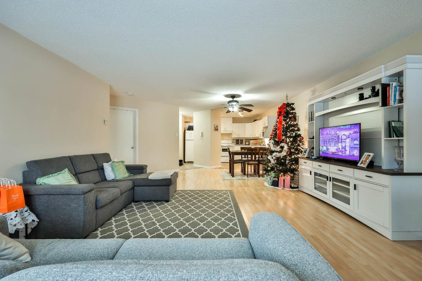 Living room - 3-200 Boul. De L'Hôpital, Gatineau (Gatineau), QC - Indoor Photo Showing Living Room