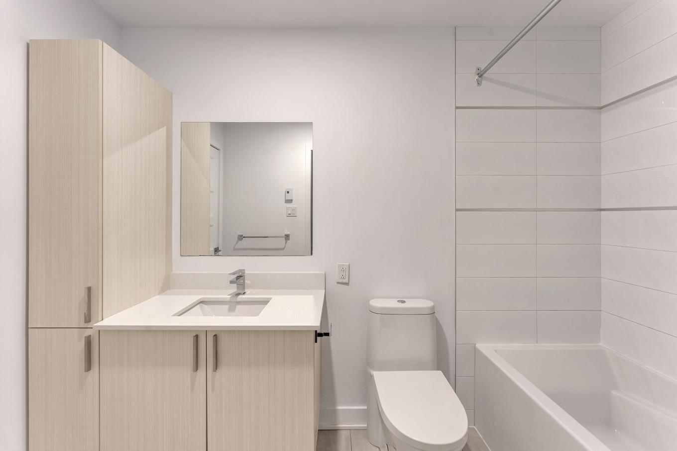 Salle de bains - 312-1295 Rue Des Carrières, Montréal (Rosemont/La Petite-Patrie), QC - Indoor Photo Showing Bathroom