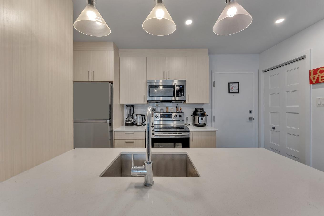 Cuisine - 313-1295 Rue Des Carrières, Montréal (Rosemont/La Petite-Patrie), QC - Indoor Photo Showing Kitchen With Double Sink