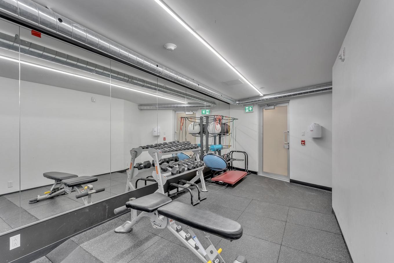 Salle d'exercice - 313-1295 Rue Des Carrières, Montréal (Rosemont/La Petite-Patrie), QC - Indoor Photo Showing Gym Room