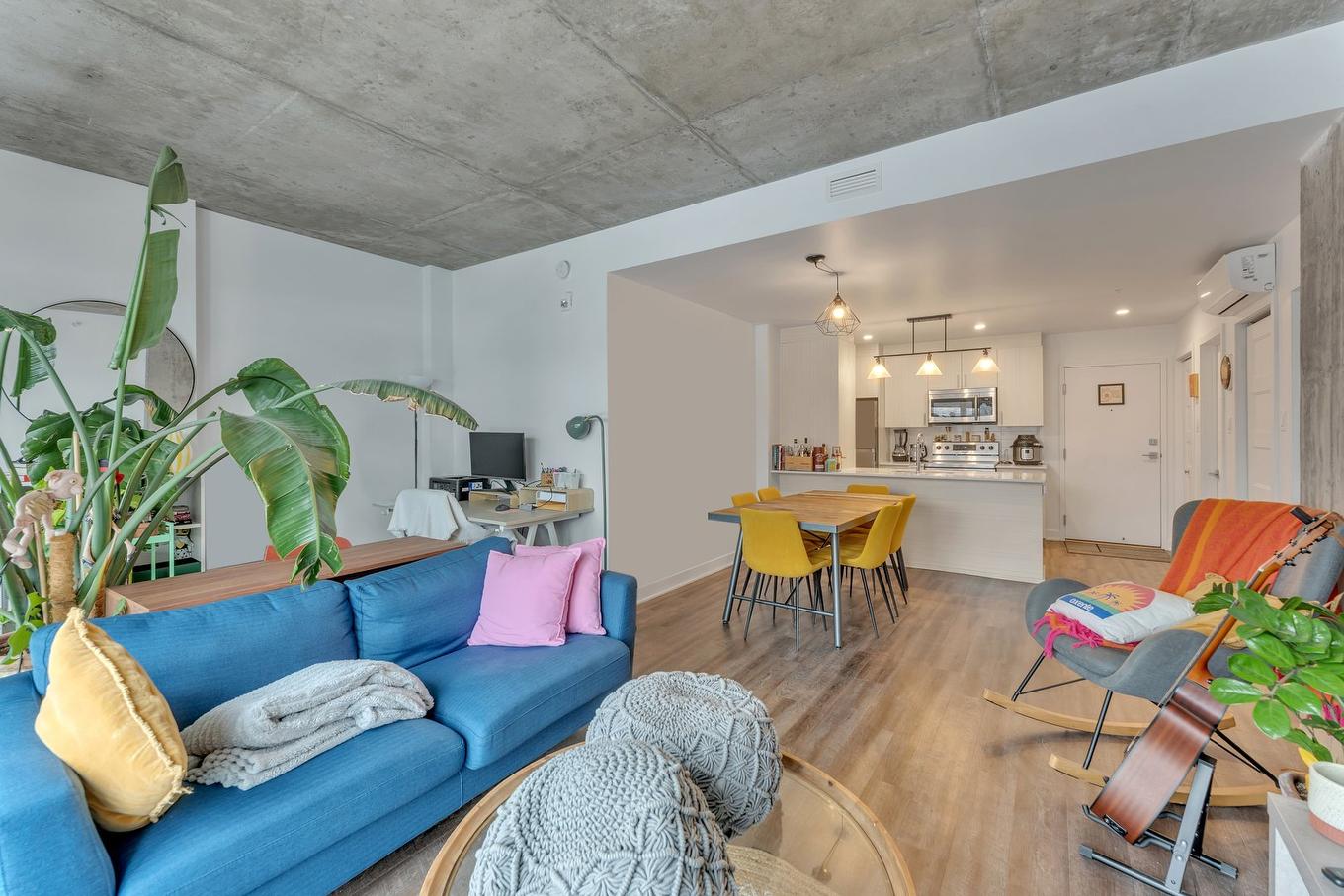 Salon - 313-1295 Rue Des Carrières, Montréal (Rosemont/La Petite-Patrie), QC - Indoor Photo Showing Living Room