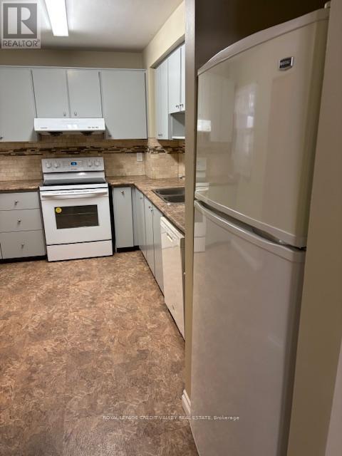 2502 Trident Avenue, Mississauga, ON - Indoor Photo Showing Kitchen With Double Sink