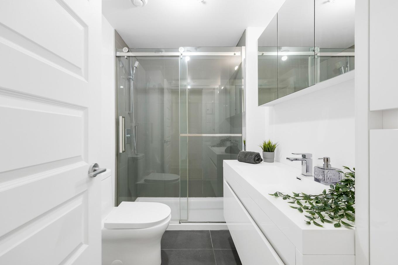 Bathroom - 1210-1228 Rue Des Bassins, Montréal (Le Sud-Ouest), QC - Indoor Photo Showing Bathroom