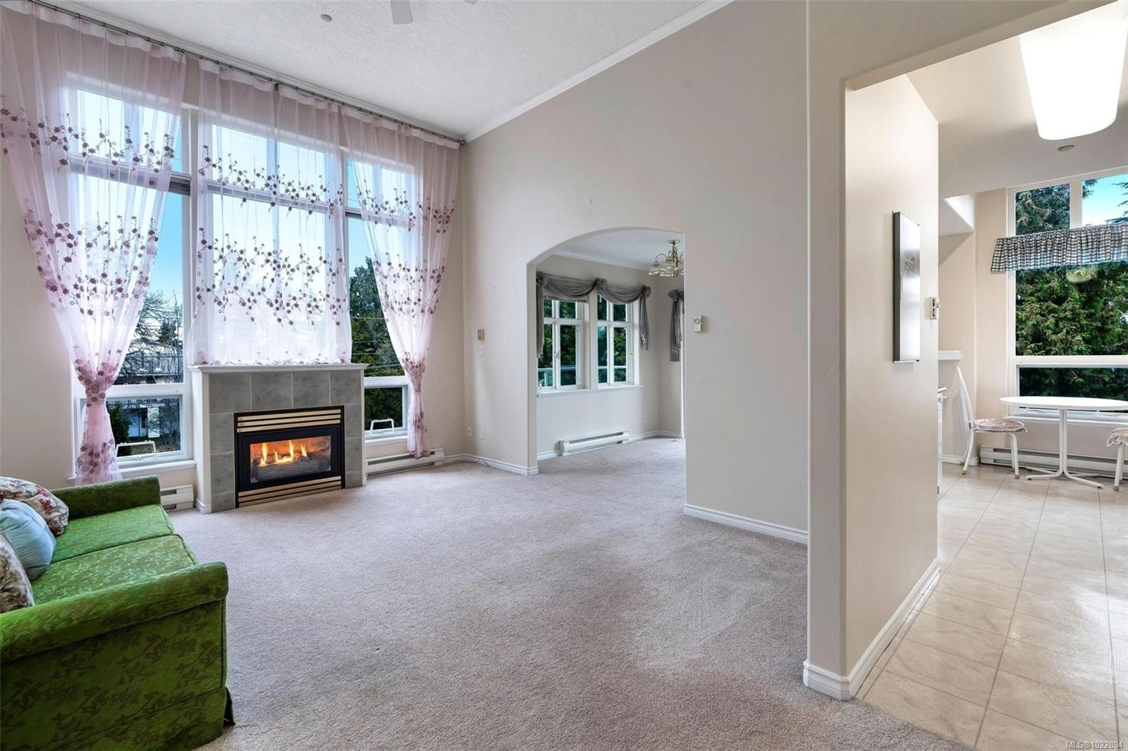 302-1663 Mckenzie Ave, Saanich, BC - Indoor With Fireplace