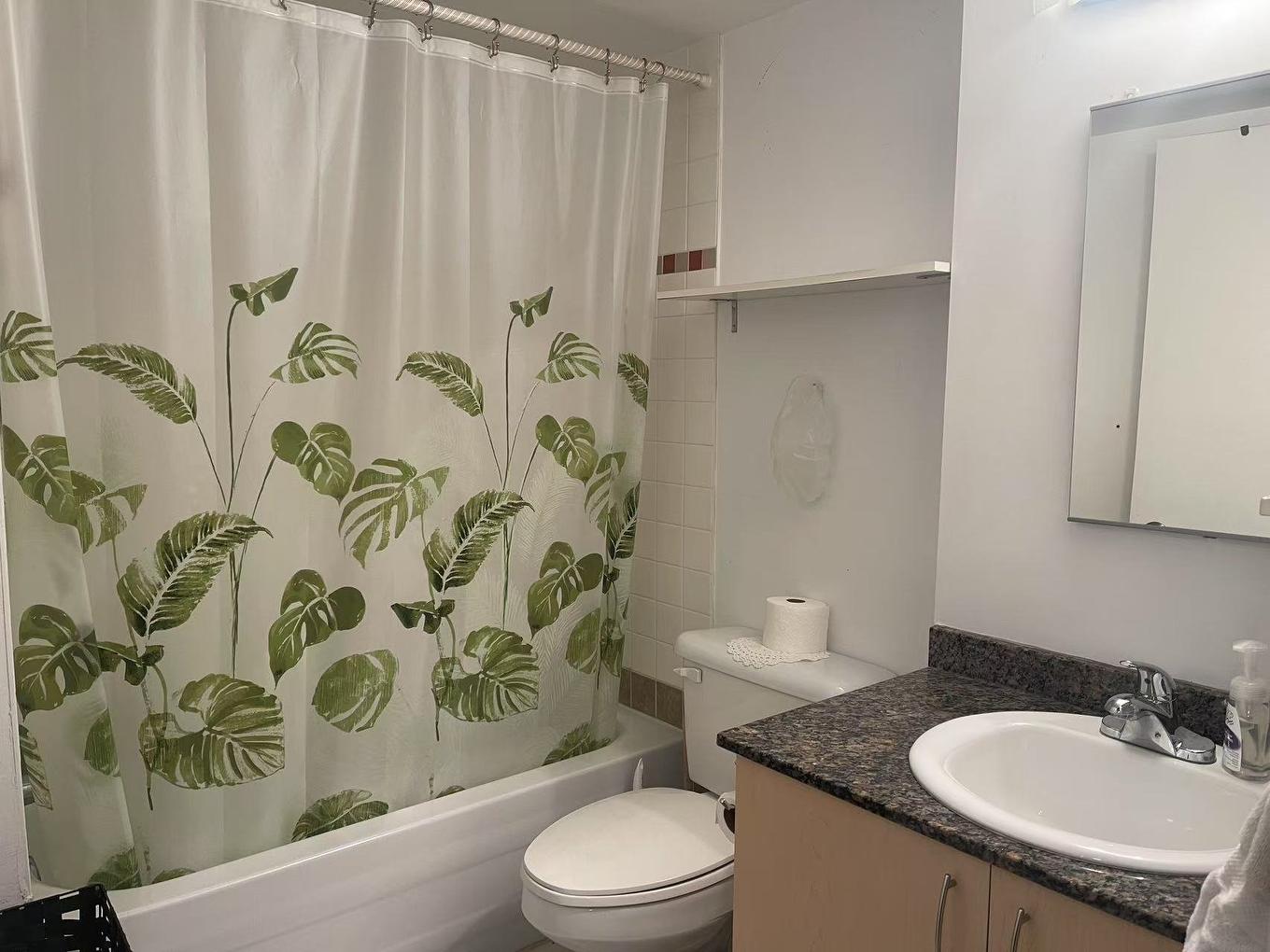 Bathroom - 158-98 Rue Charlotte, Montréal (Ville-Marie), QC - Indoor Photo Showing Bathroom