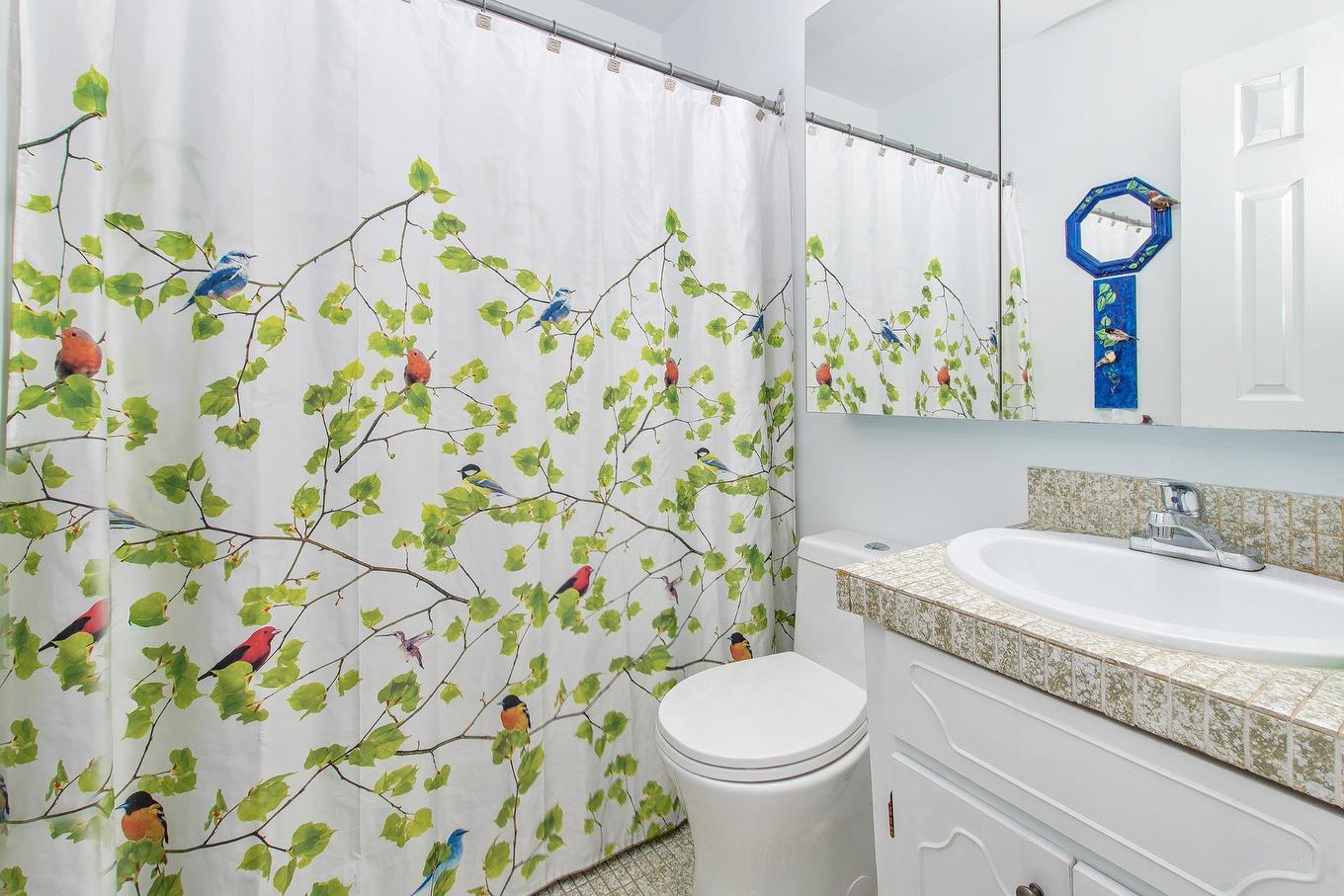 Bathroom - 2045 Crois. De Clemency, Laval (Vimont), QC - Indoor Photo Showing Bathroom