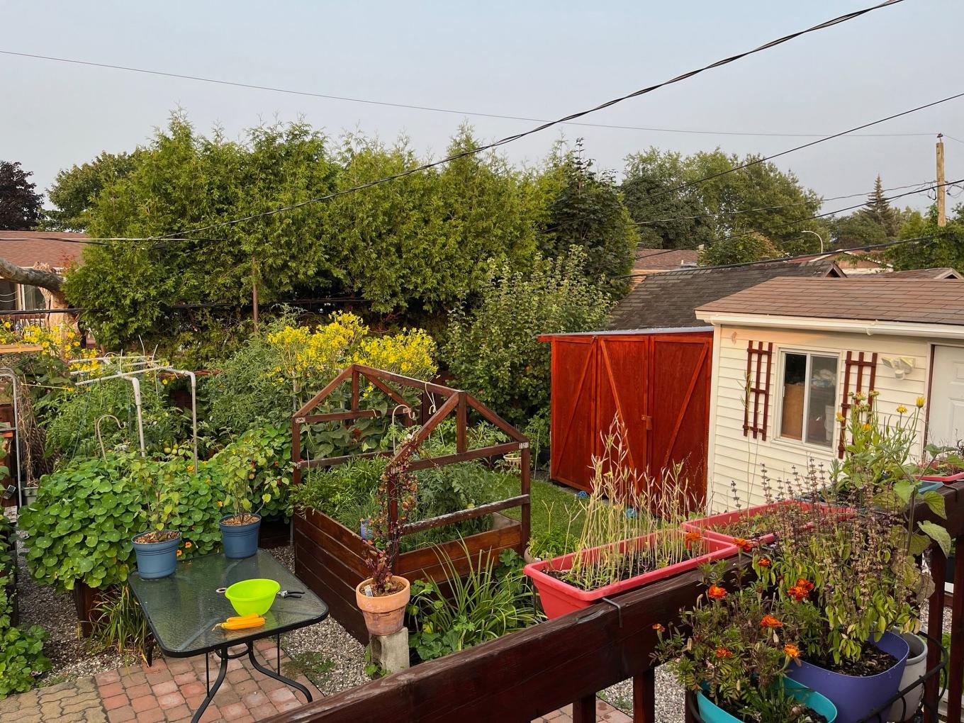 Backyard - 2045 Crois. De Clemency, Laval (Vimont), QC - Outdoor