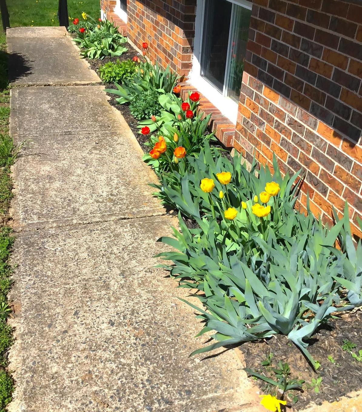 89 Apple Tree Lane, Kentville, NS