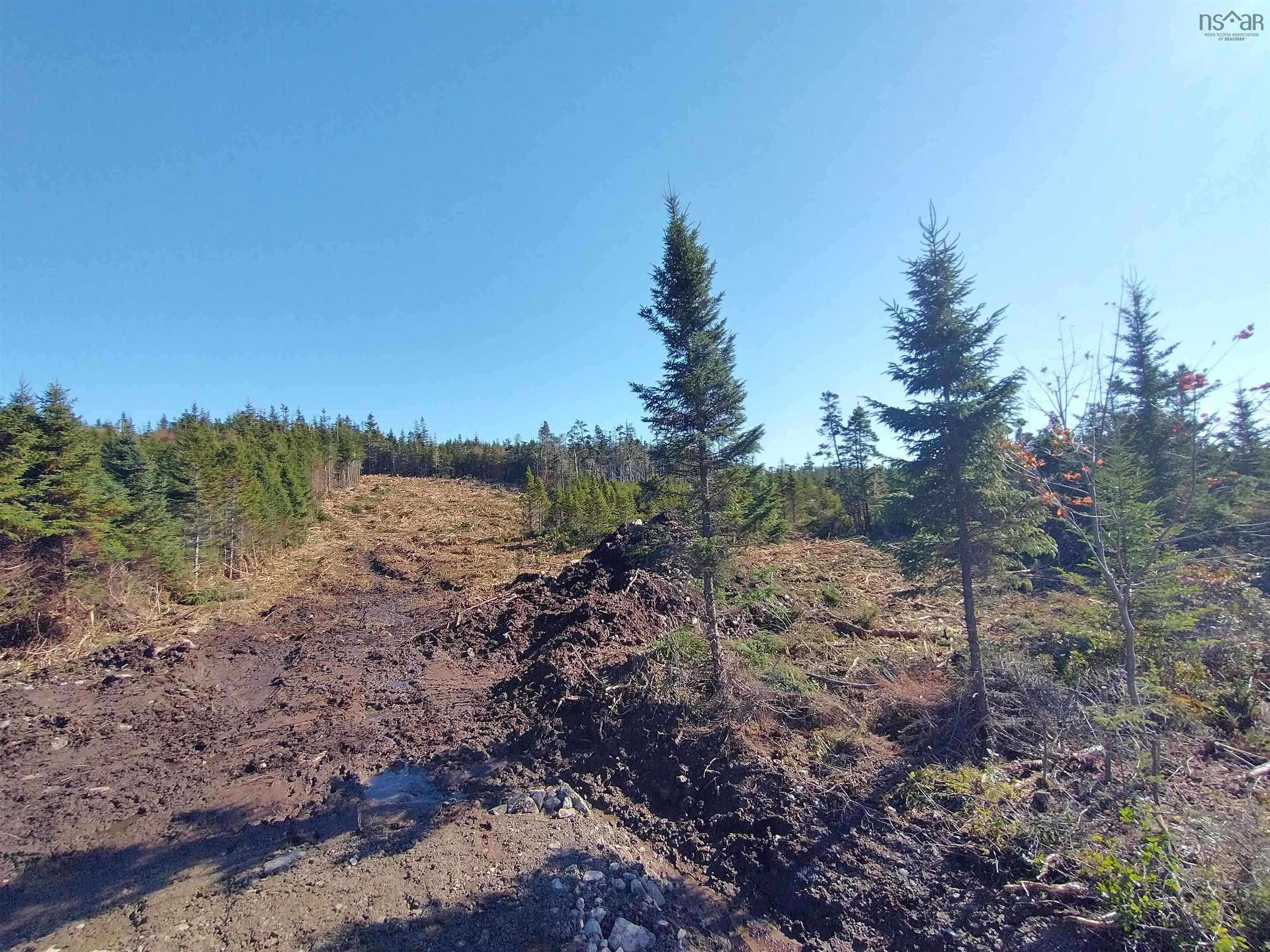 0 Ostrea Lake Road, Pleasant Point, NS