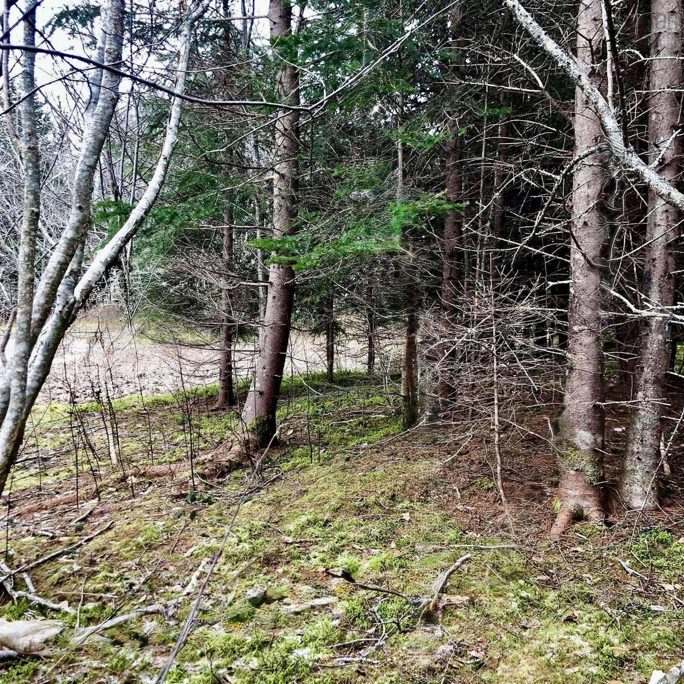 0 Main Rd., Hureauville, NS