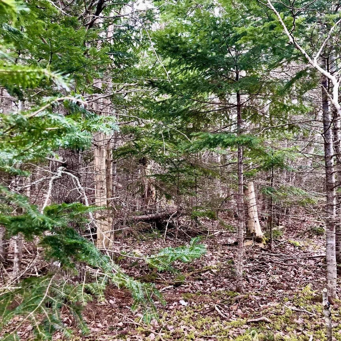 0 Main Rd., Hureauville, NS