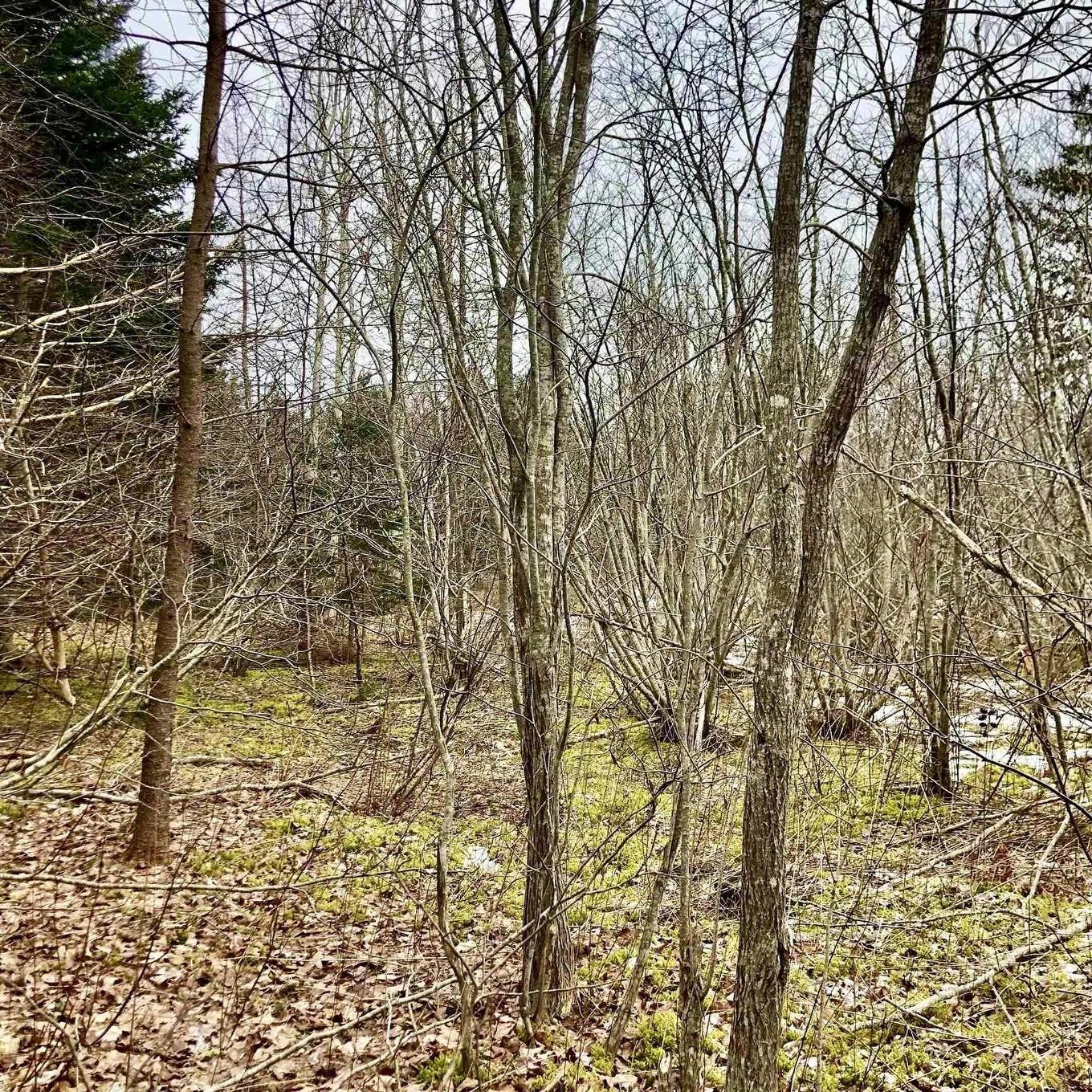 0 Main Rd., Hureauville, NS